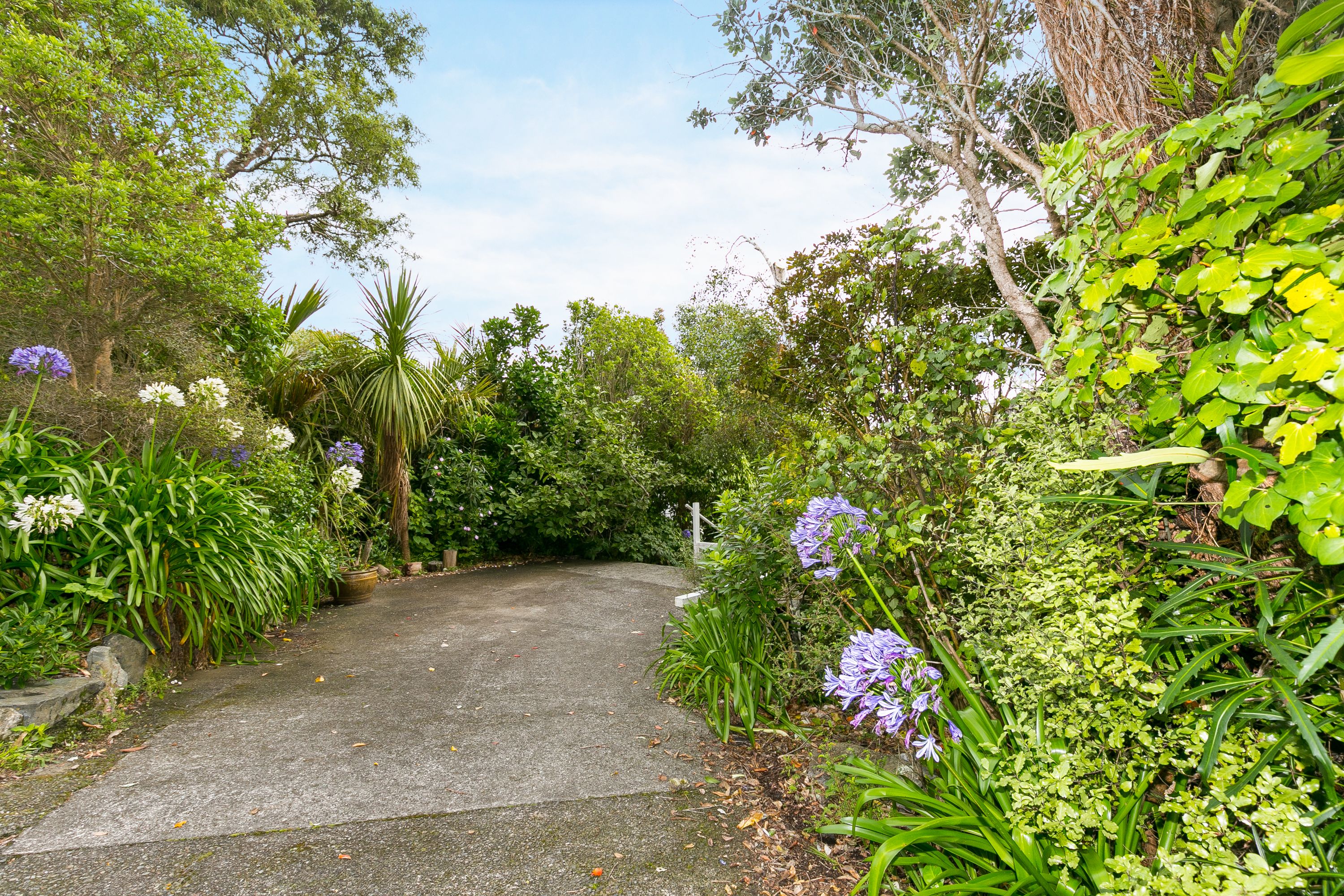 28 Fox Street, Ngaio, Wellington City