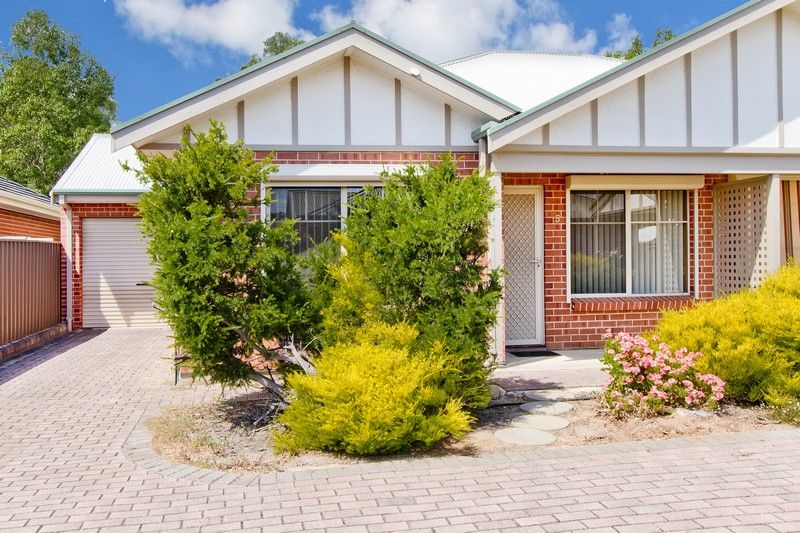5/19 Hill Avenue, Cumberland Park, SA 5041