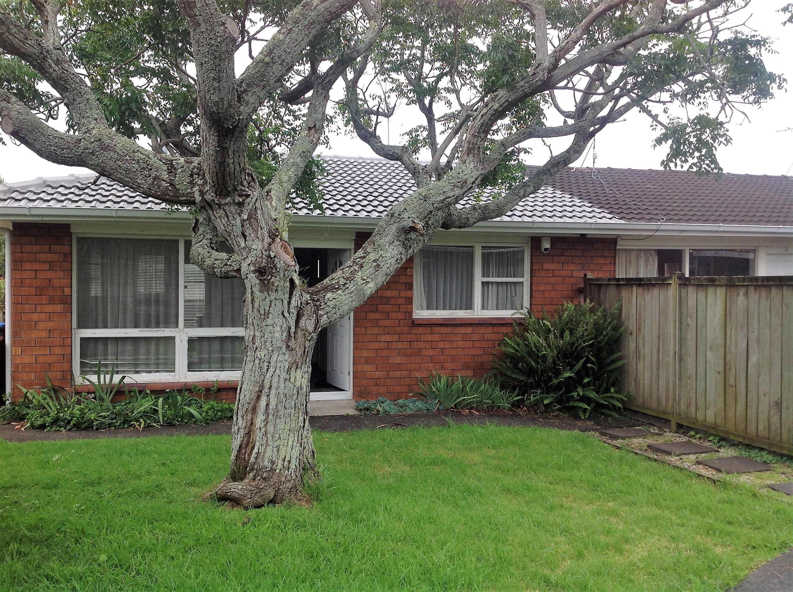 1/13 Hawthorne Place, Ellerslie, Auckland City