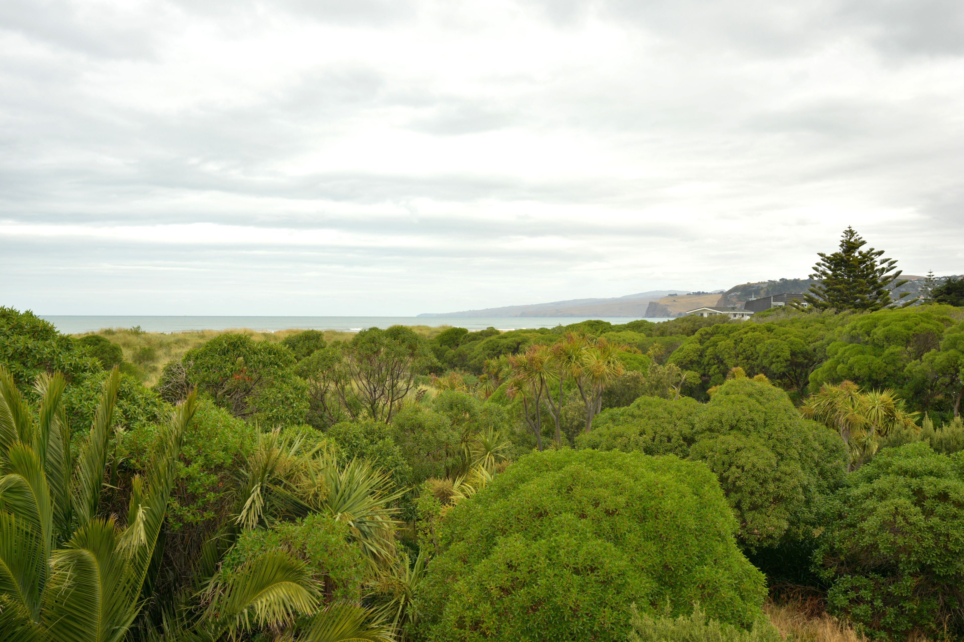 151C Rocking Horse Road, Southshore, Christchurch City