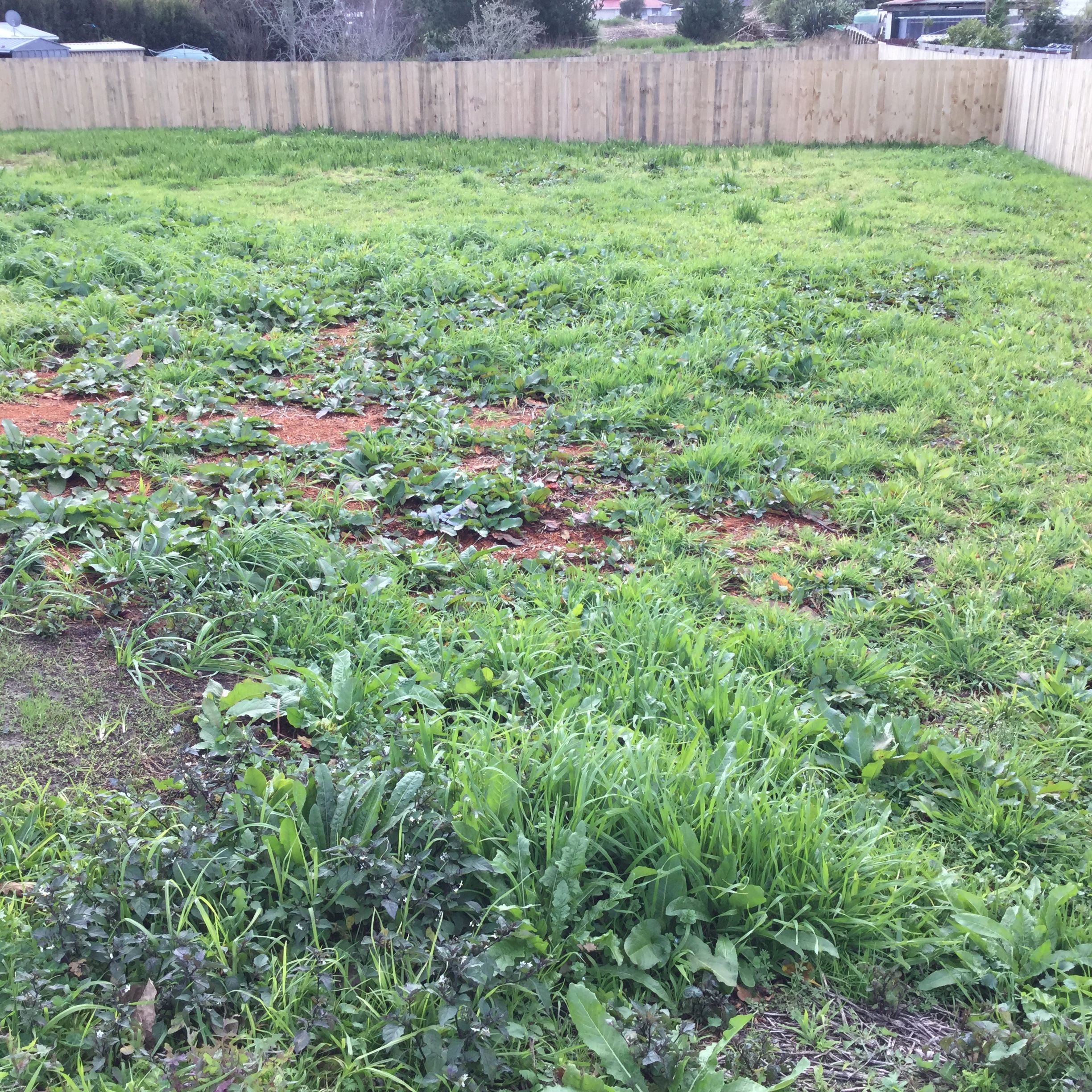 50A Beachlands Road, Beachlands, Manukau City