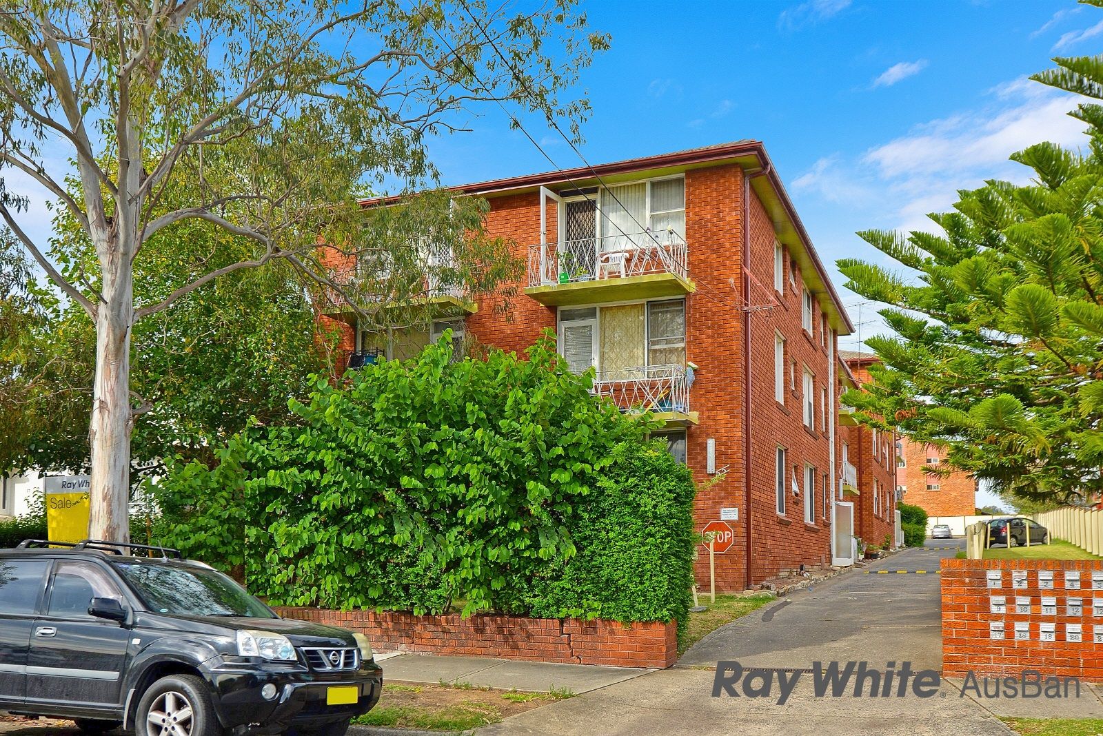 55 Alice Street, Wiley Park NSW 2195