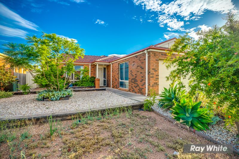 75 Baden Powell Drive, Tarneit, VIC 3029