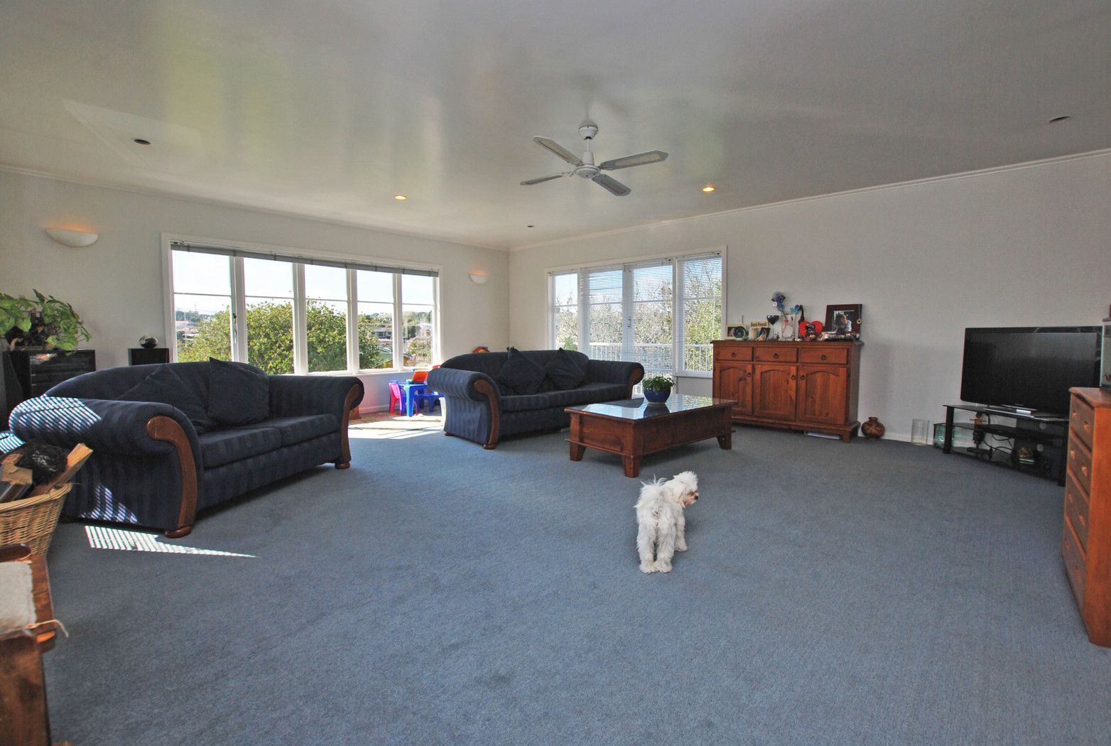 Mount Roskill, Auckland City
