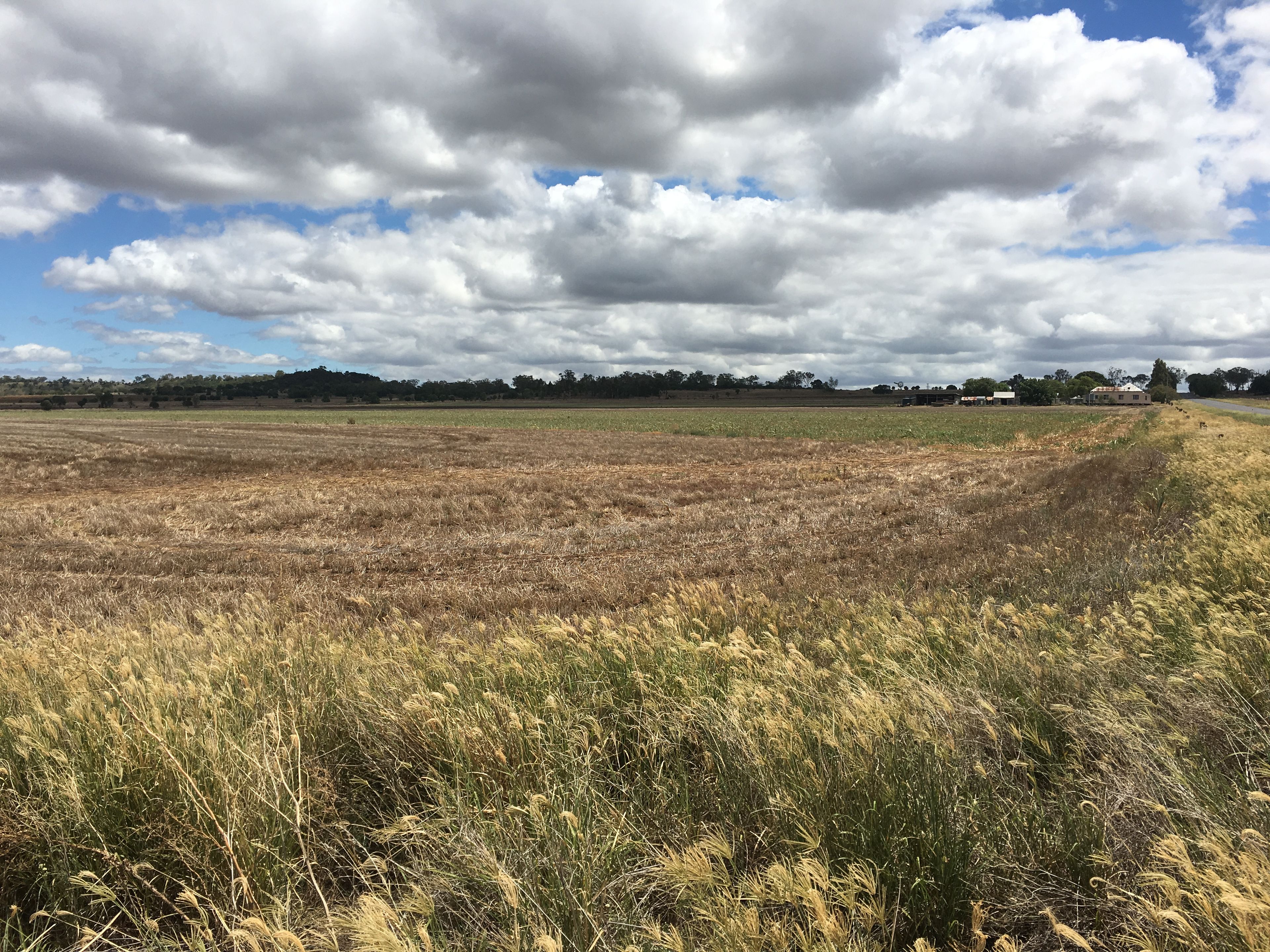 768 Oakey-Pittsworth Road, Aubigny, QLD 4401