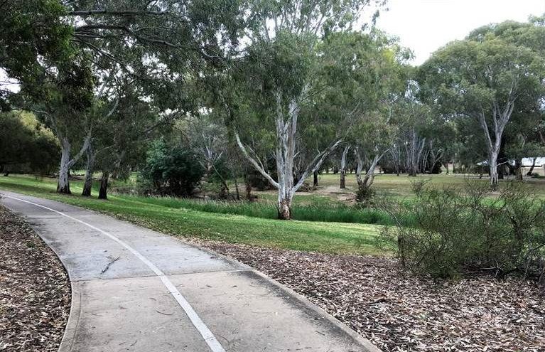 60 Riverview Drive, Paradise, SA 5075