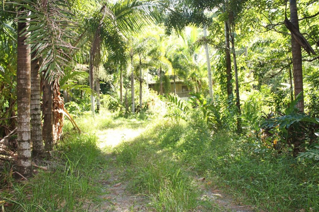 Lot 1 Bruce Highway, Bellenden Ker, QLD 4871