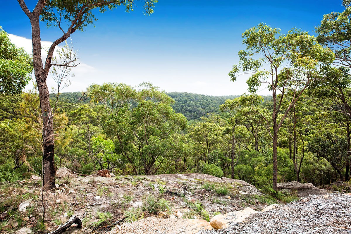 94 Monash Road, Menai, NSW 2234