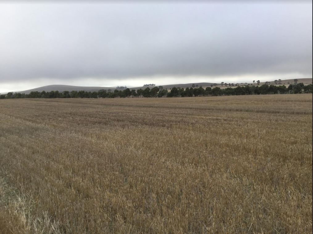 2 Lots, Manilla and Iron Mind Road, HANSON, SA 5417