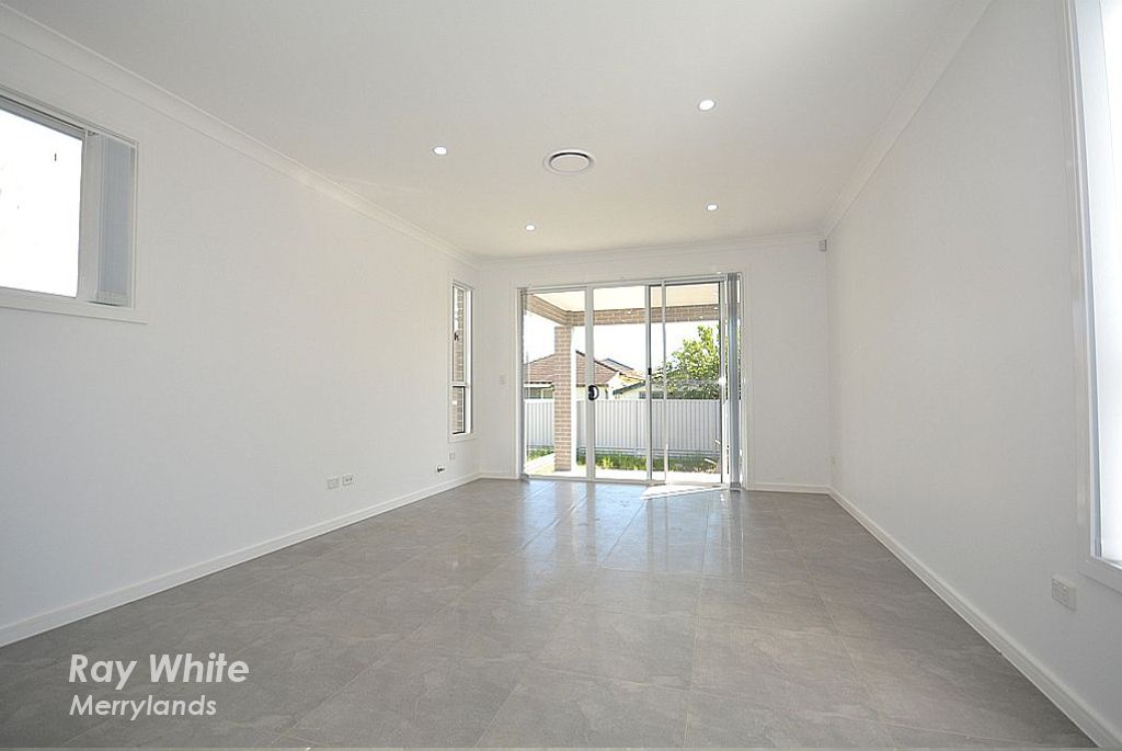 45 Wyong Street, Canley Heights, NSW 2166