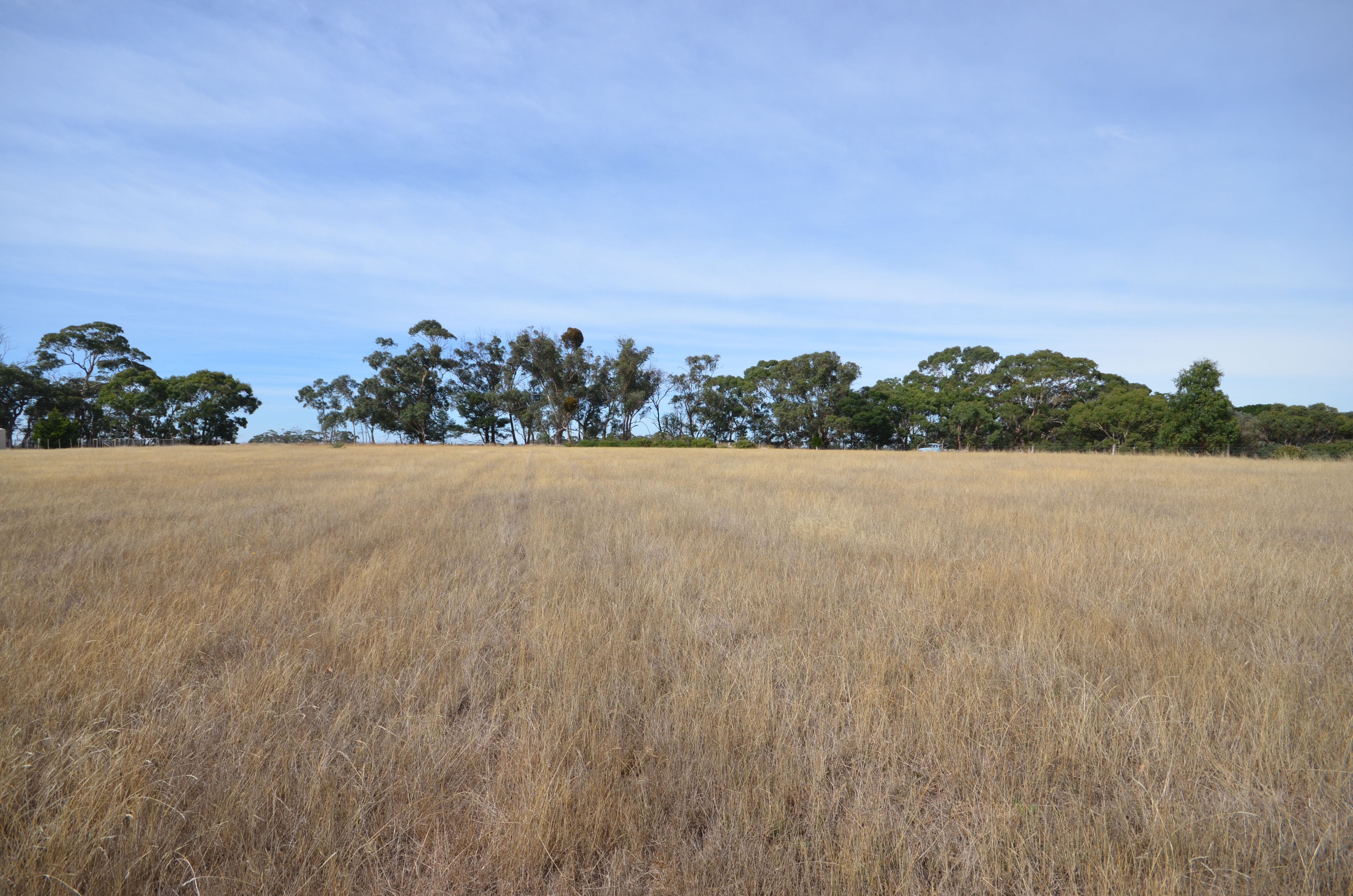 49 Harrisons Road, Dereel, VIC 3352