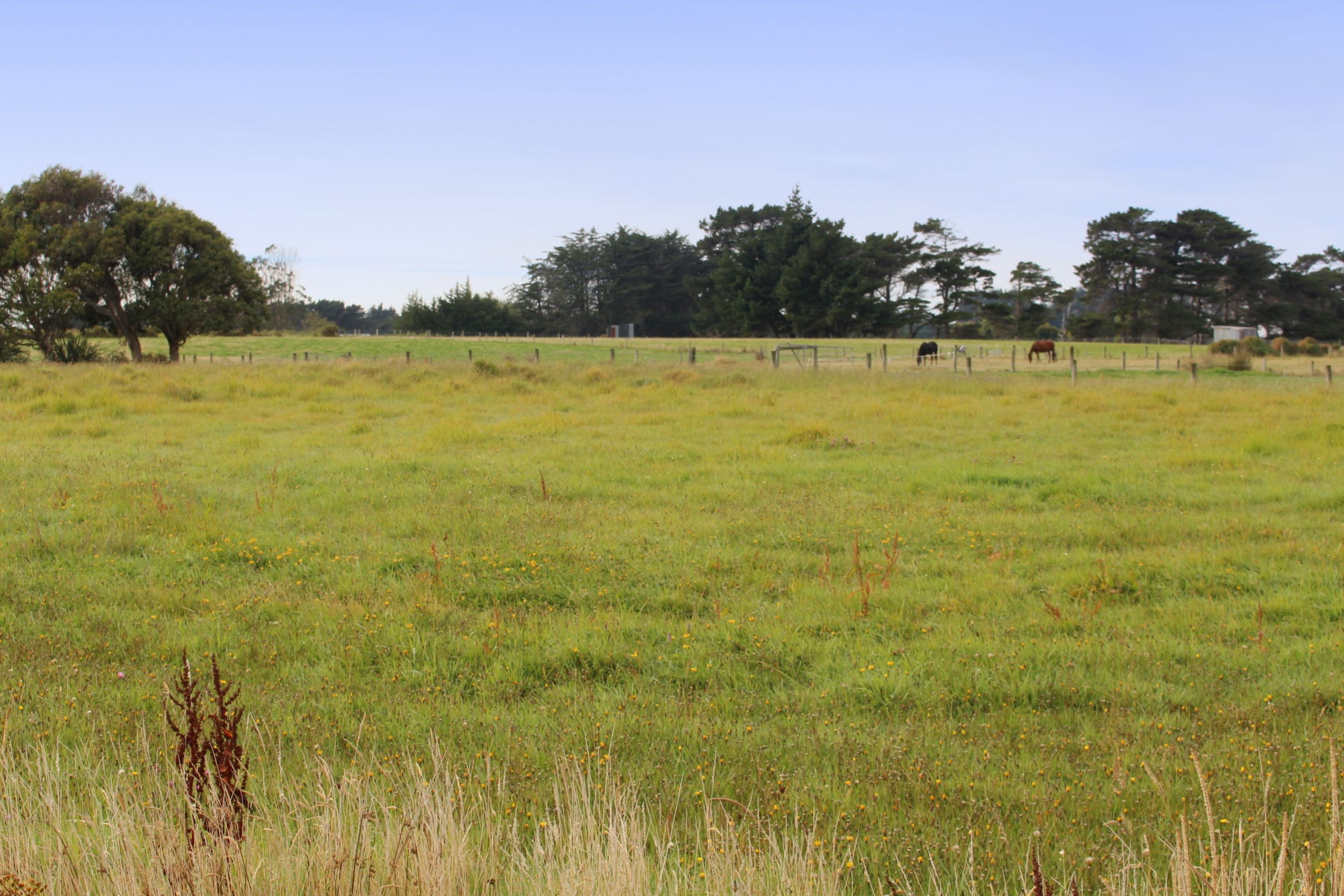381 Avon Road, Tisbury, Invercargill