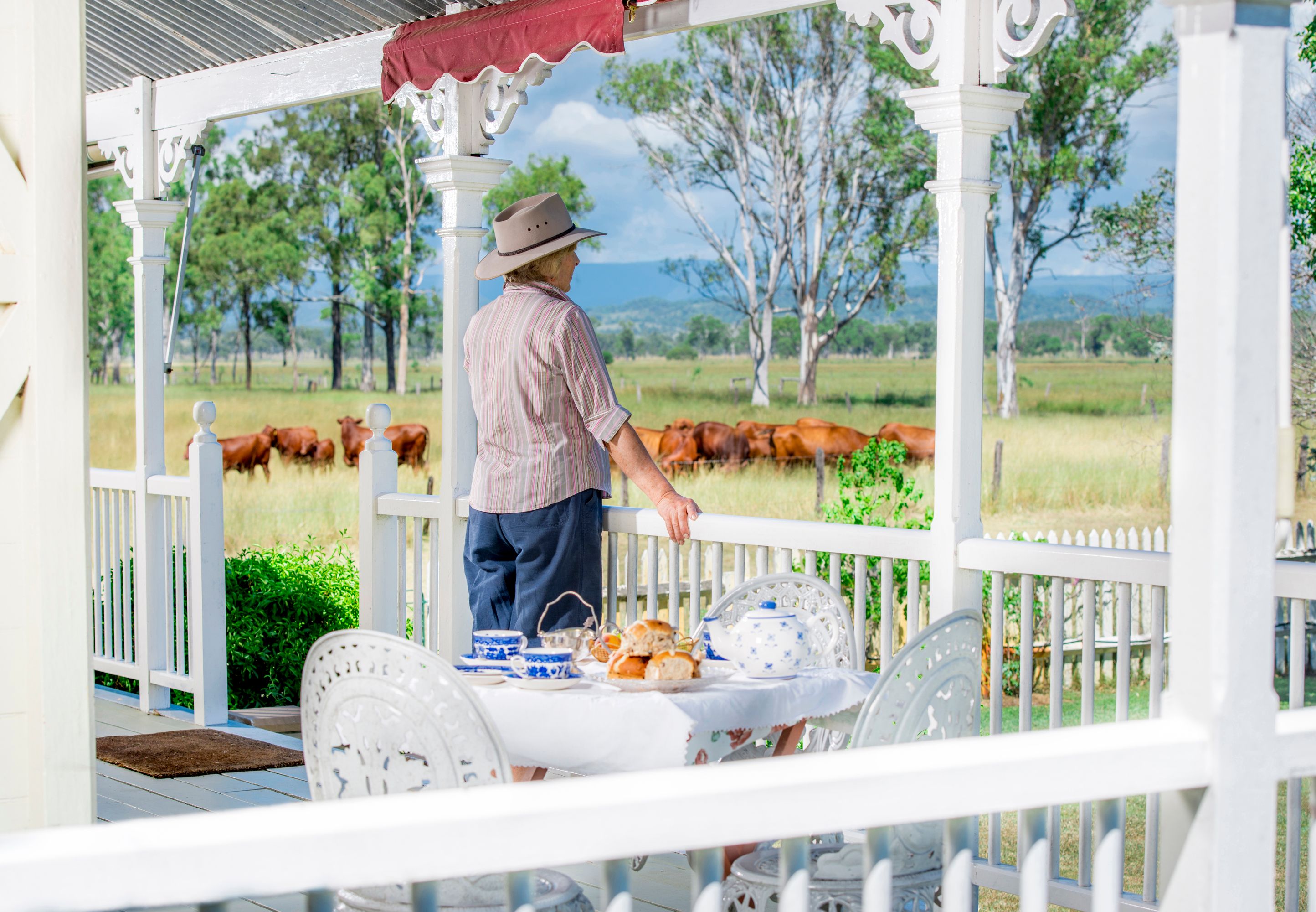 527 Mount Walker West Road, Lower Mount Walker, QLD 4340