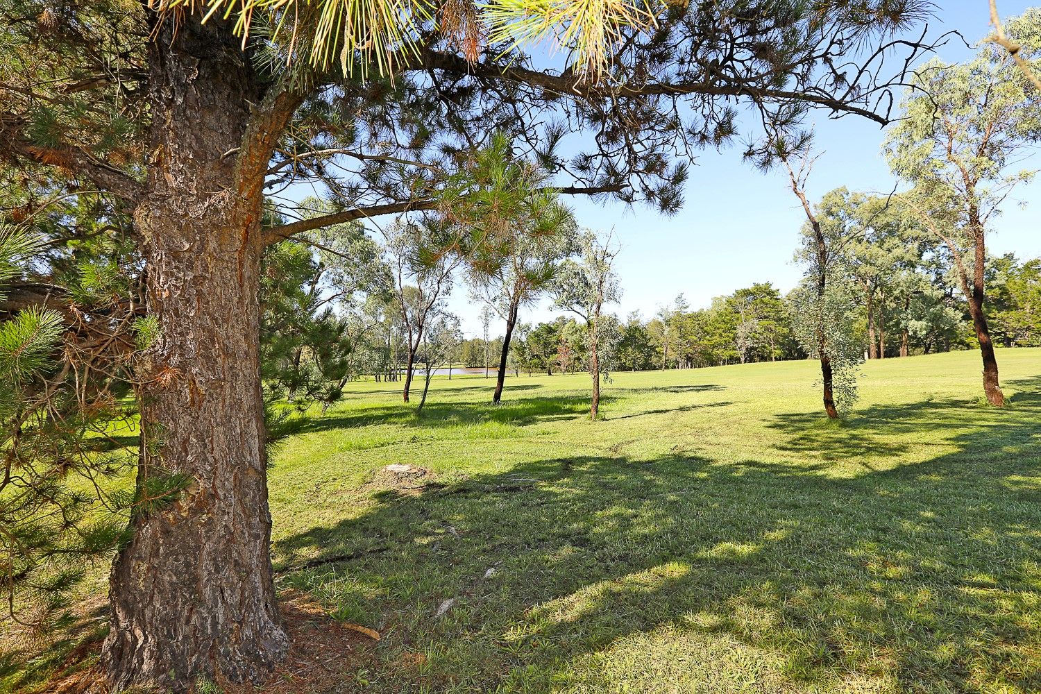 6 Huntingdale Drive, Glenmore Park, NSW 2745