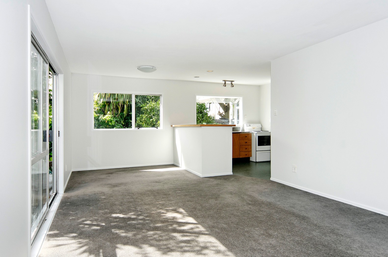 65A Moa Road, Point Chevalier, Auckland City