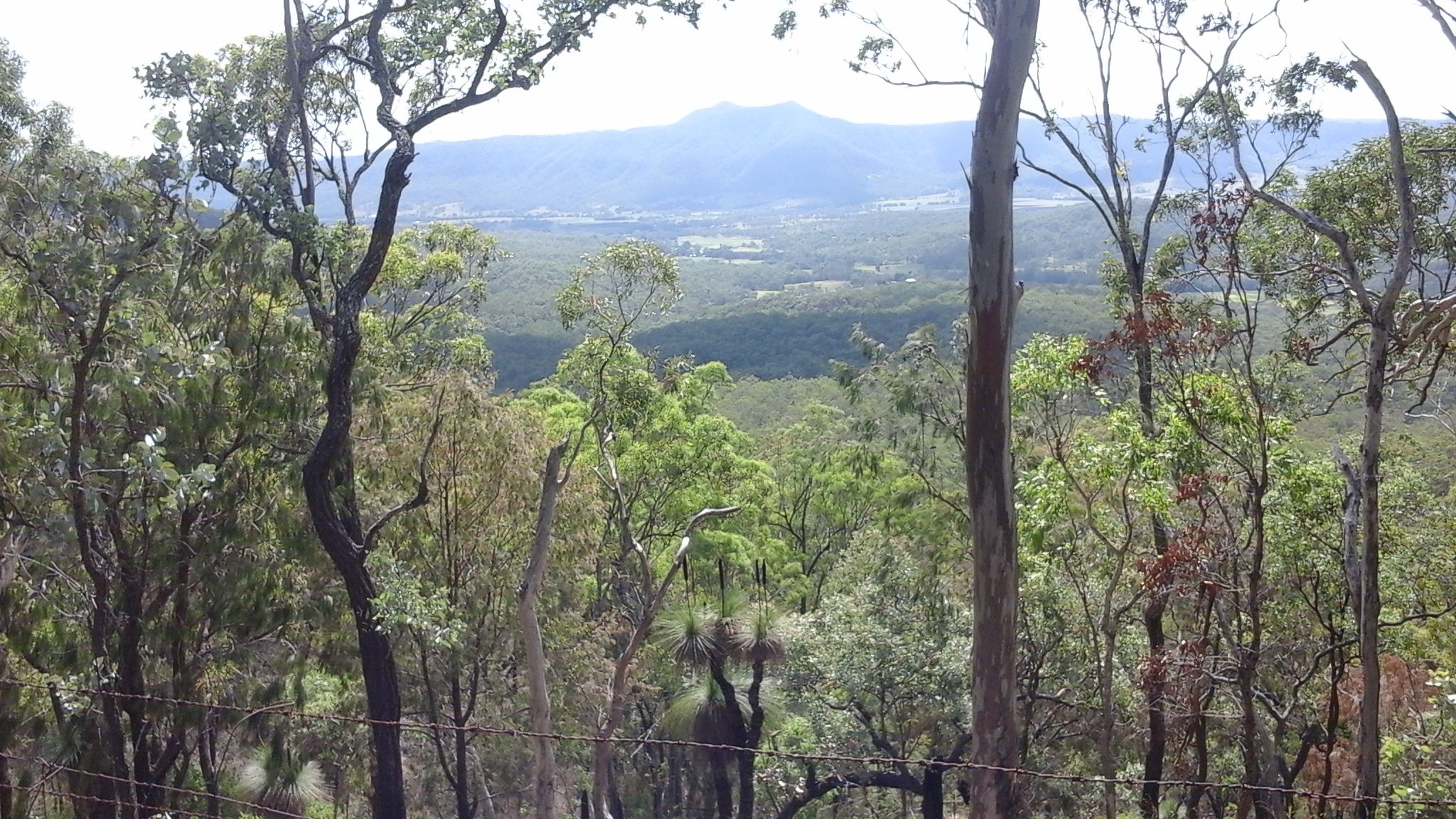 ' Wilderness Retreat' 1531 Left Hand Branch Road, THORNTON, QLD 4341
