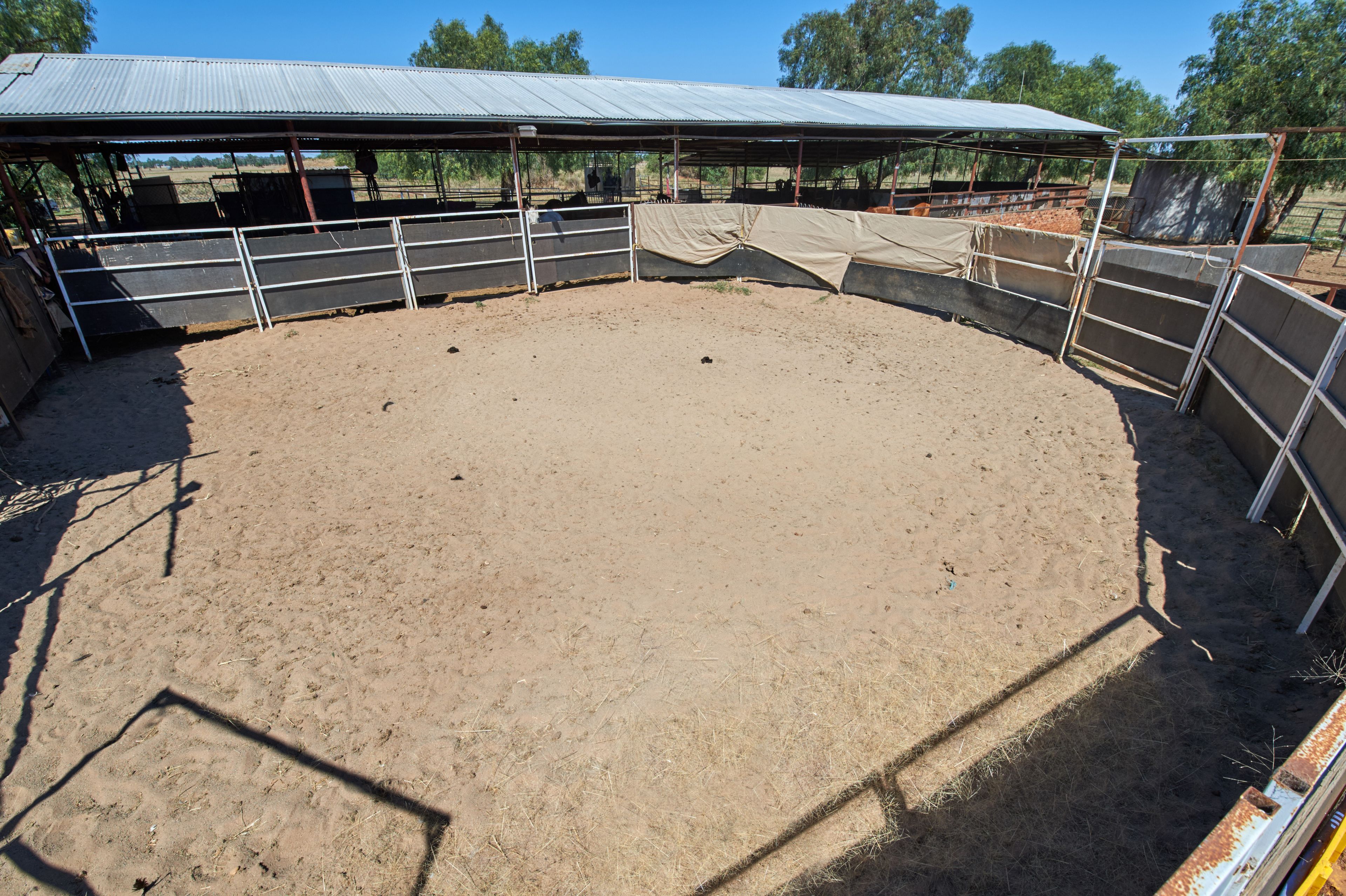 2031 Millwood Road, Coolamon, NSW 2701