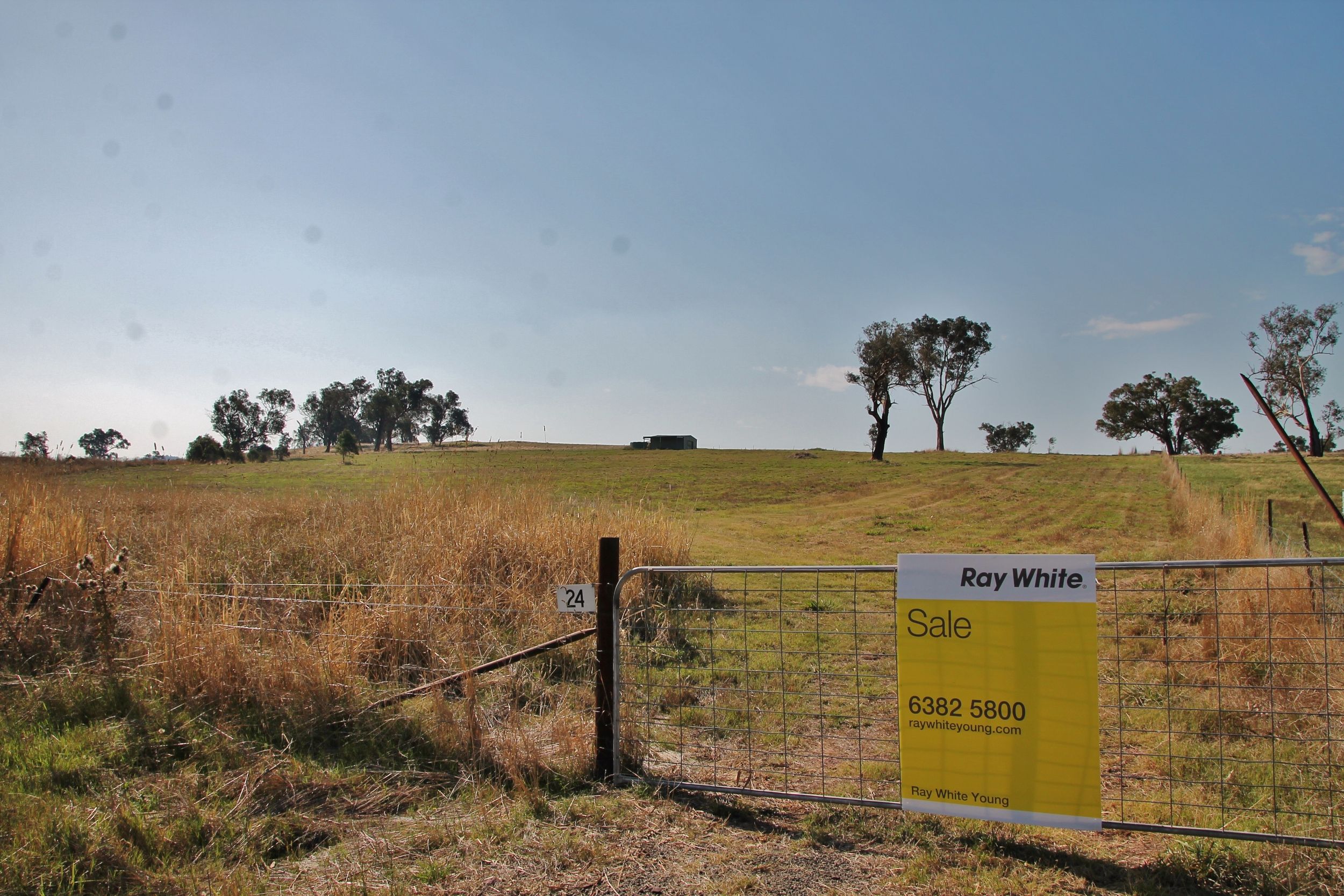 24 Hazelton Place MURRINGO via, Young, NSW 2594
