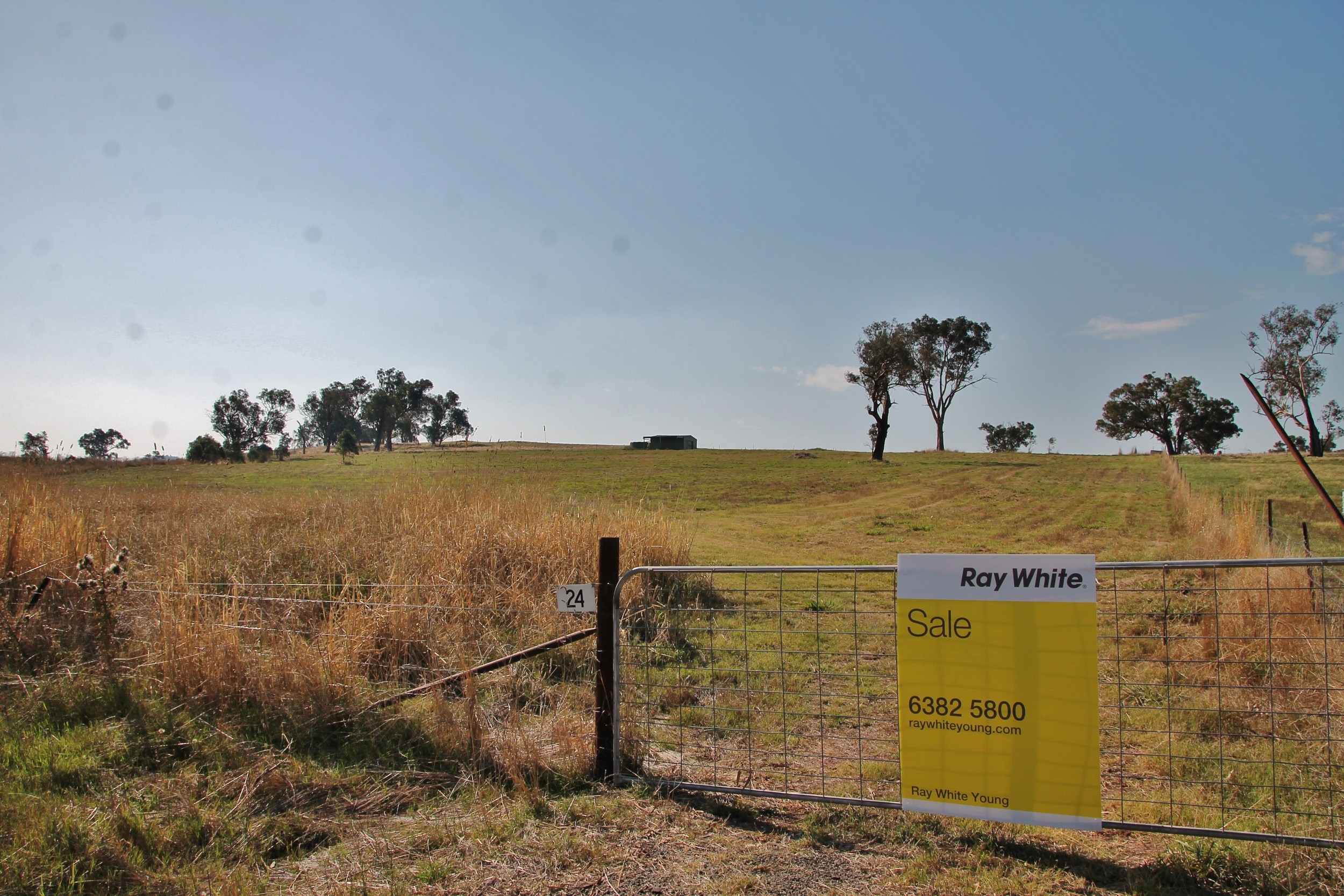 24 Hazelton Place MURRINGO via, Young, NSW 2594