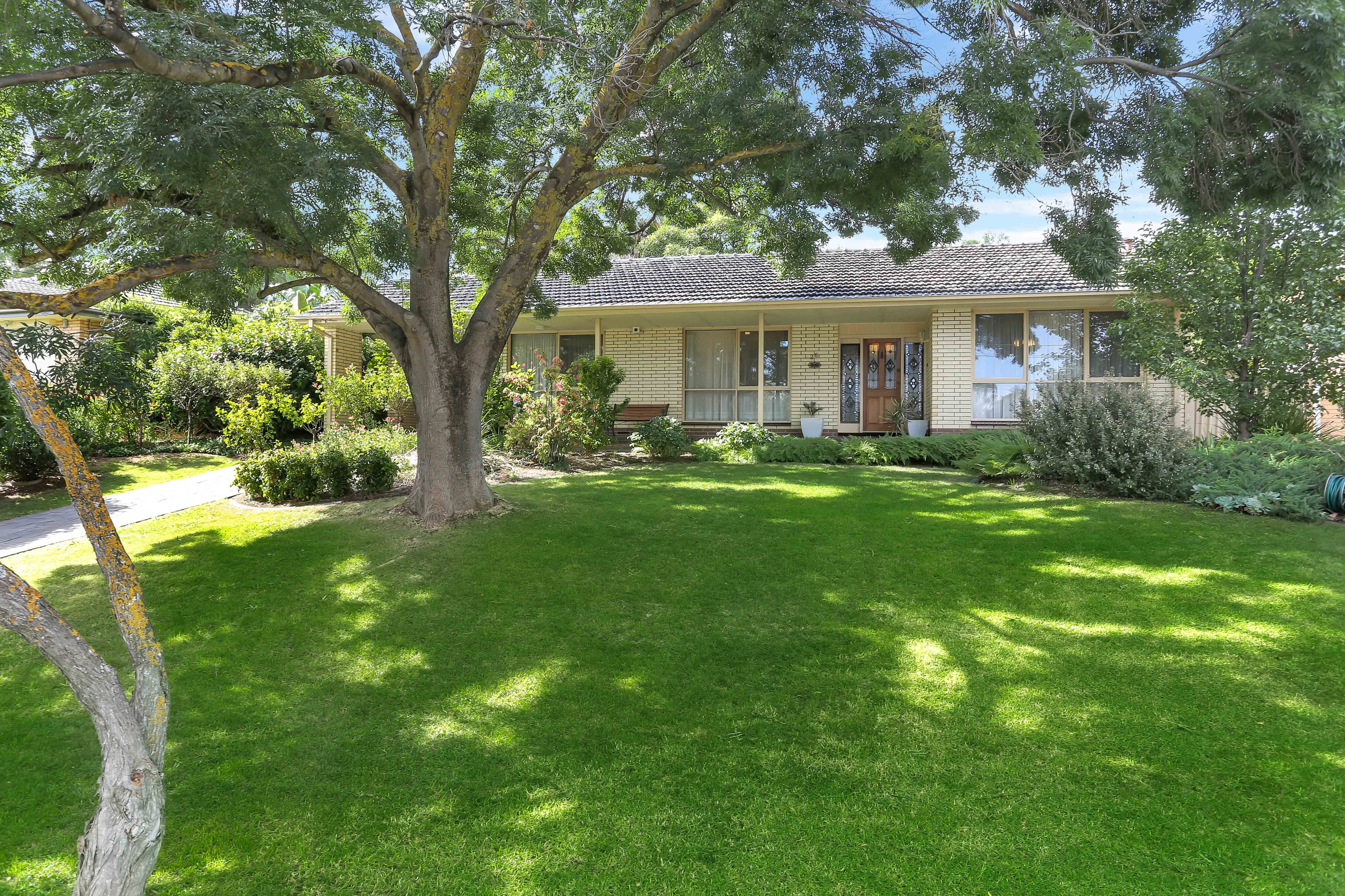 26 Audrey Crescent, Valley View SA 5093