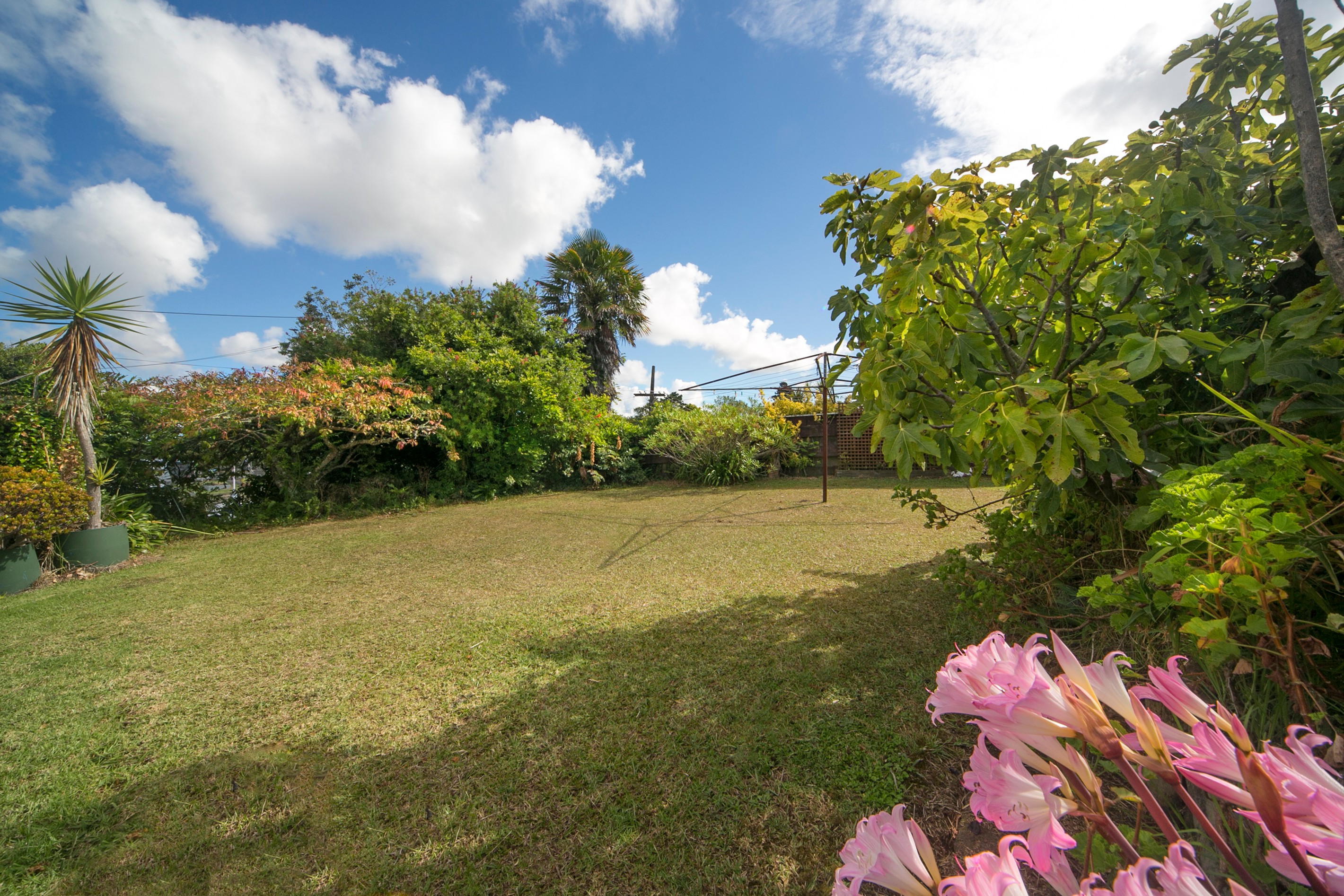 74 Staveley Avenue, Mount Roskill, Auckland City