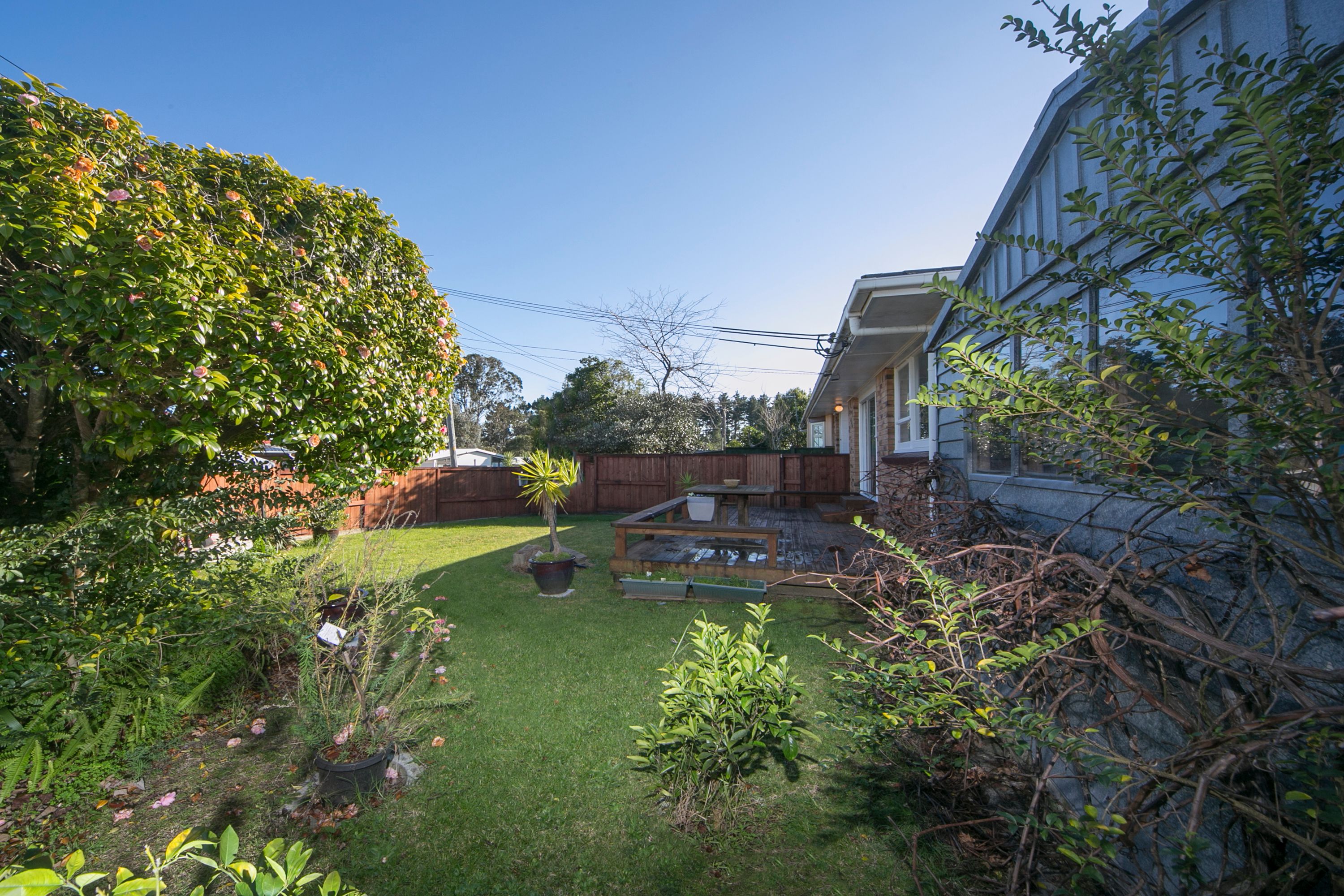 1 Stedman Place, Avondale, Auckland City