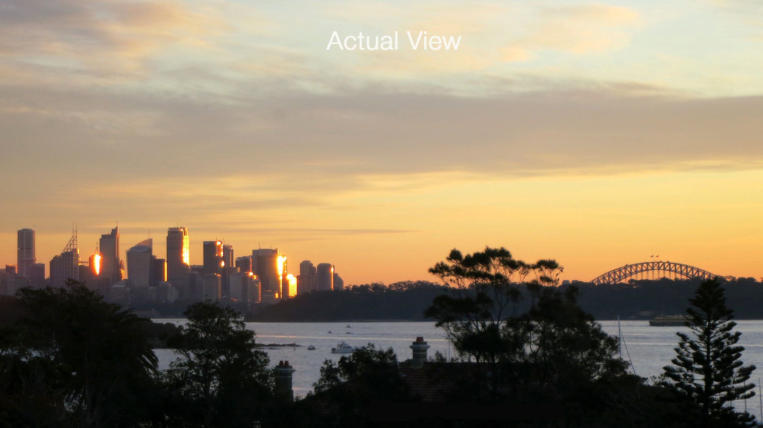 Figtree 20 Military Road, Watsons Bay, NSW 2030