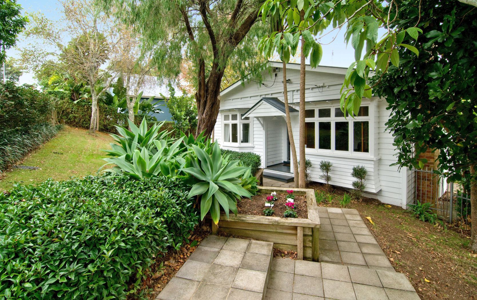 7 Rowan Road, Epsom, Auckland City 1023 Sold House Ray White Epsom