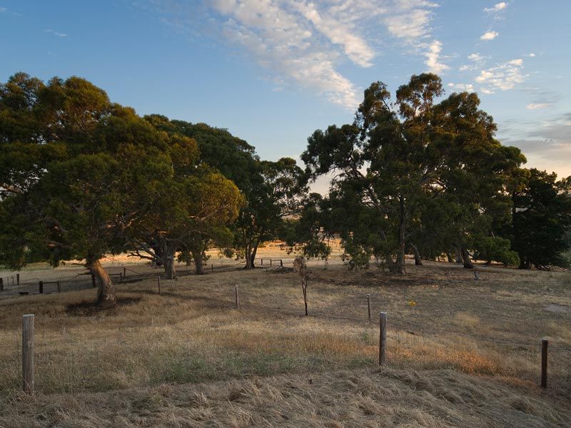 446 Summit Road, Mount Barker Summit, SA 5251 Sold Acreage/SemiRural