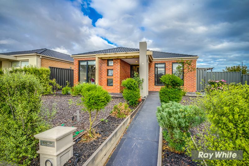 9 Wilandra Drive, Tarneit, VIC 3029