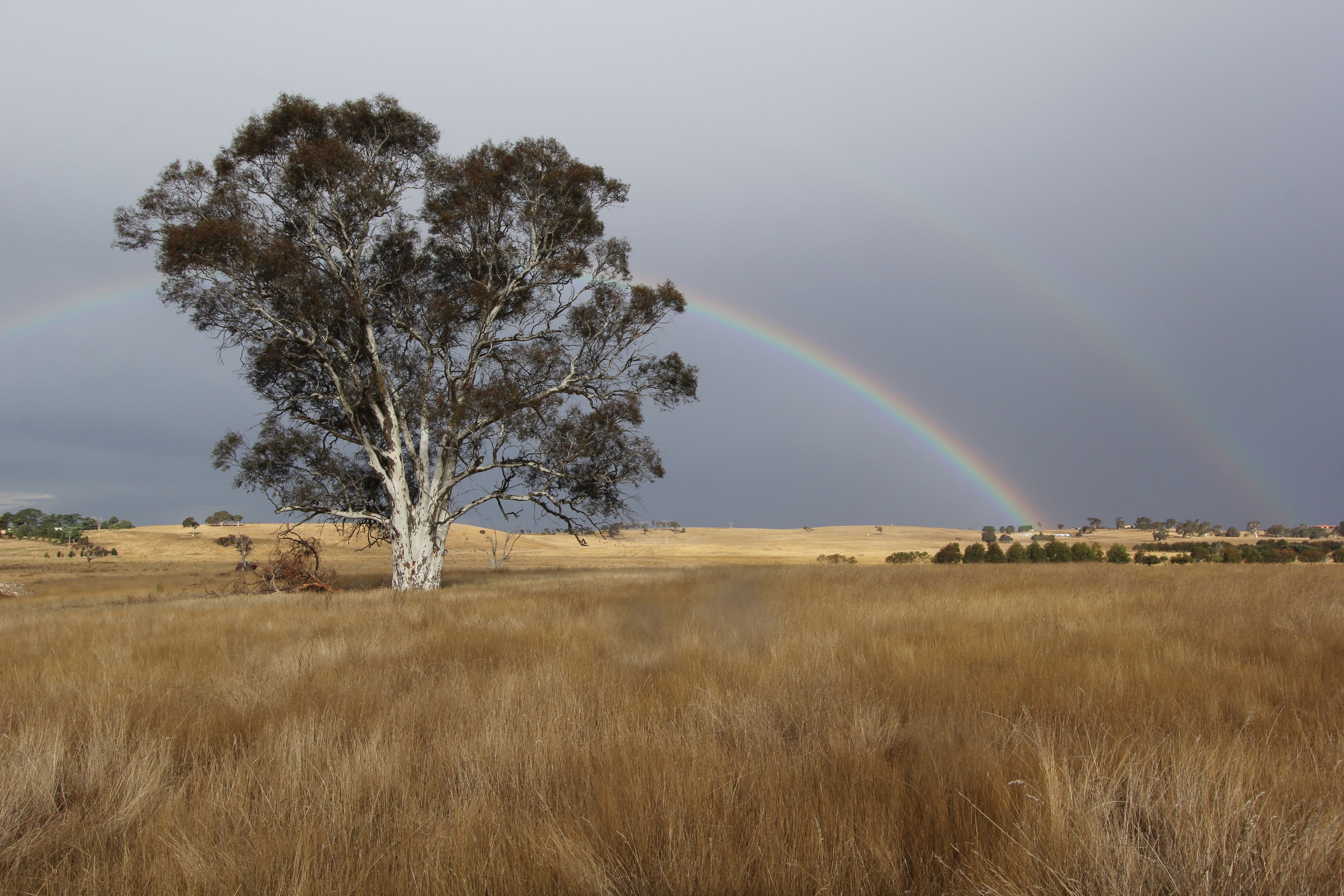 34 Birril Close., Springrange, NSW 2618 - Sold Acreage/Semi-Rural - Ray ...