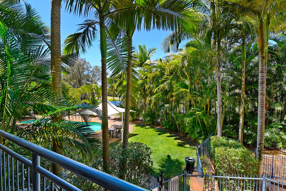 64 Palm Meadows Drive, Carrara QLD 4211