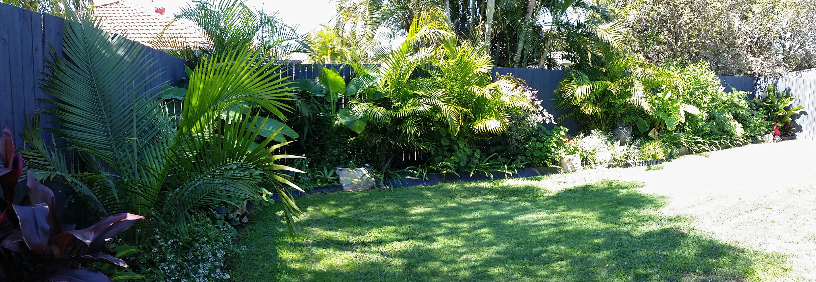 46 Fawn Street, Upper Coomera, QLD 4209