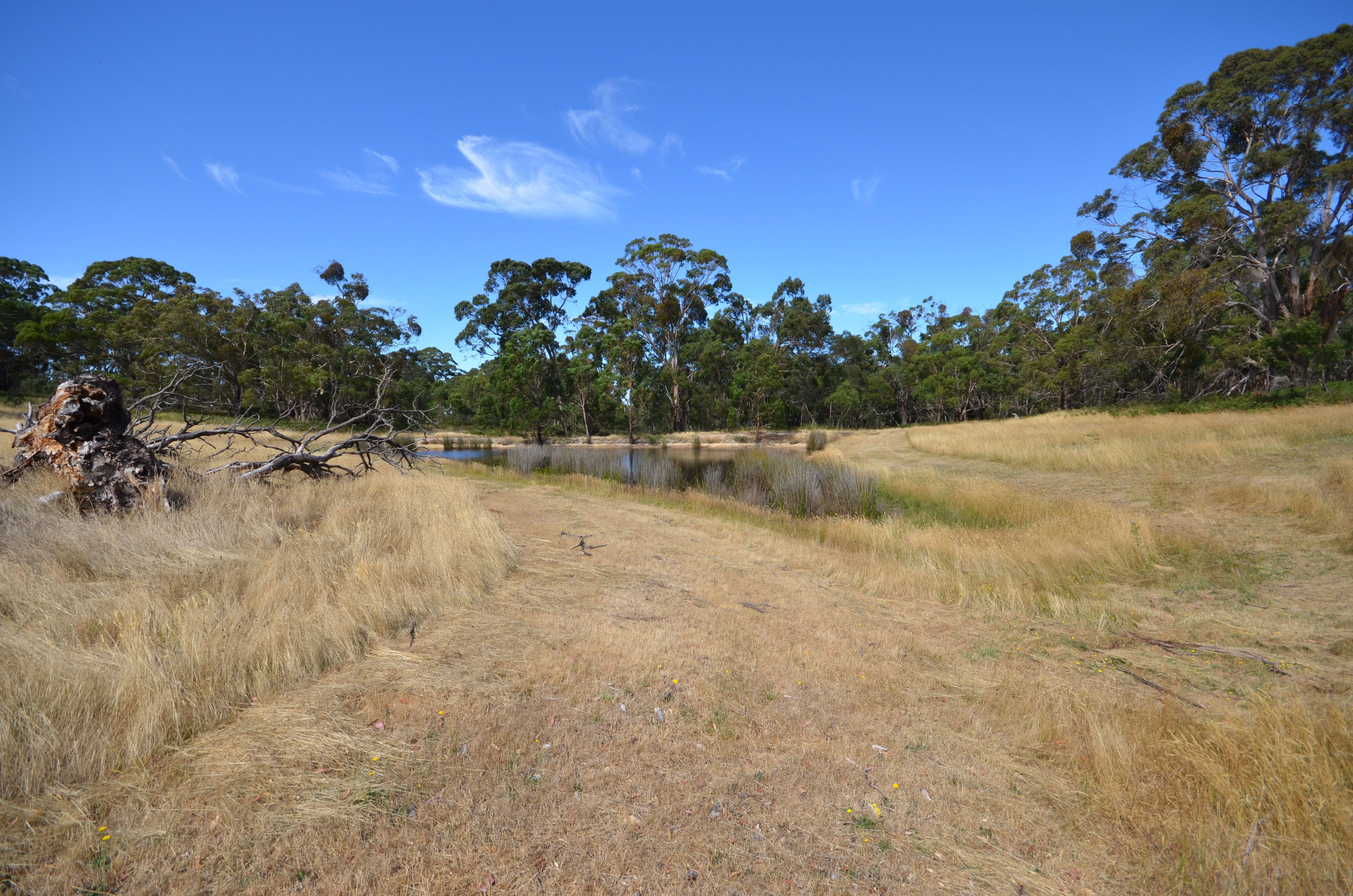 Mount Mercer - Dereel Road, DEREEL, VIC 3352
