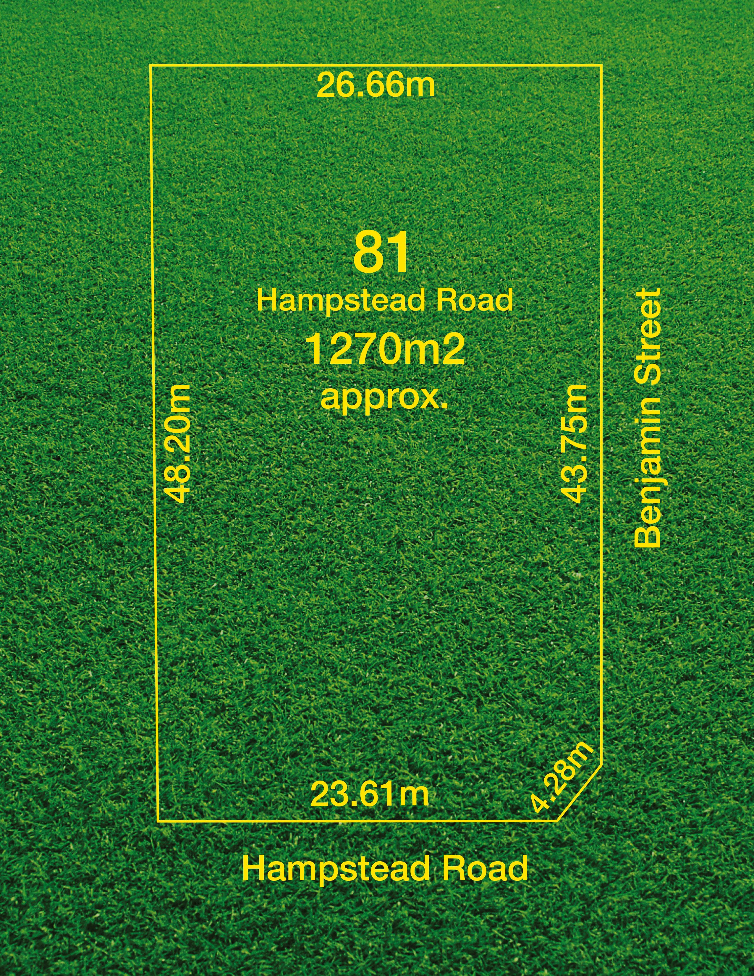 81 Hampstead Road, Manningham SA 5086