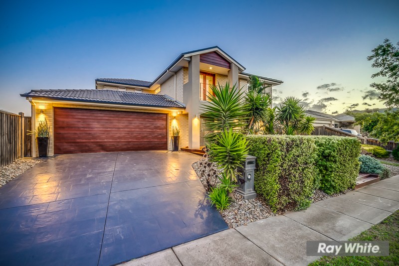 17 Daintree Boulevard, Tarneit, VIC 3029
