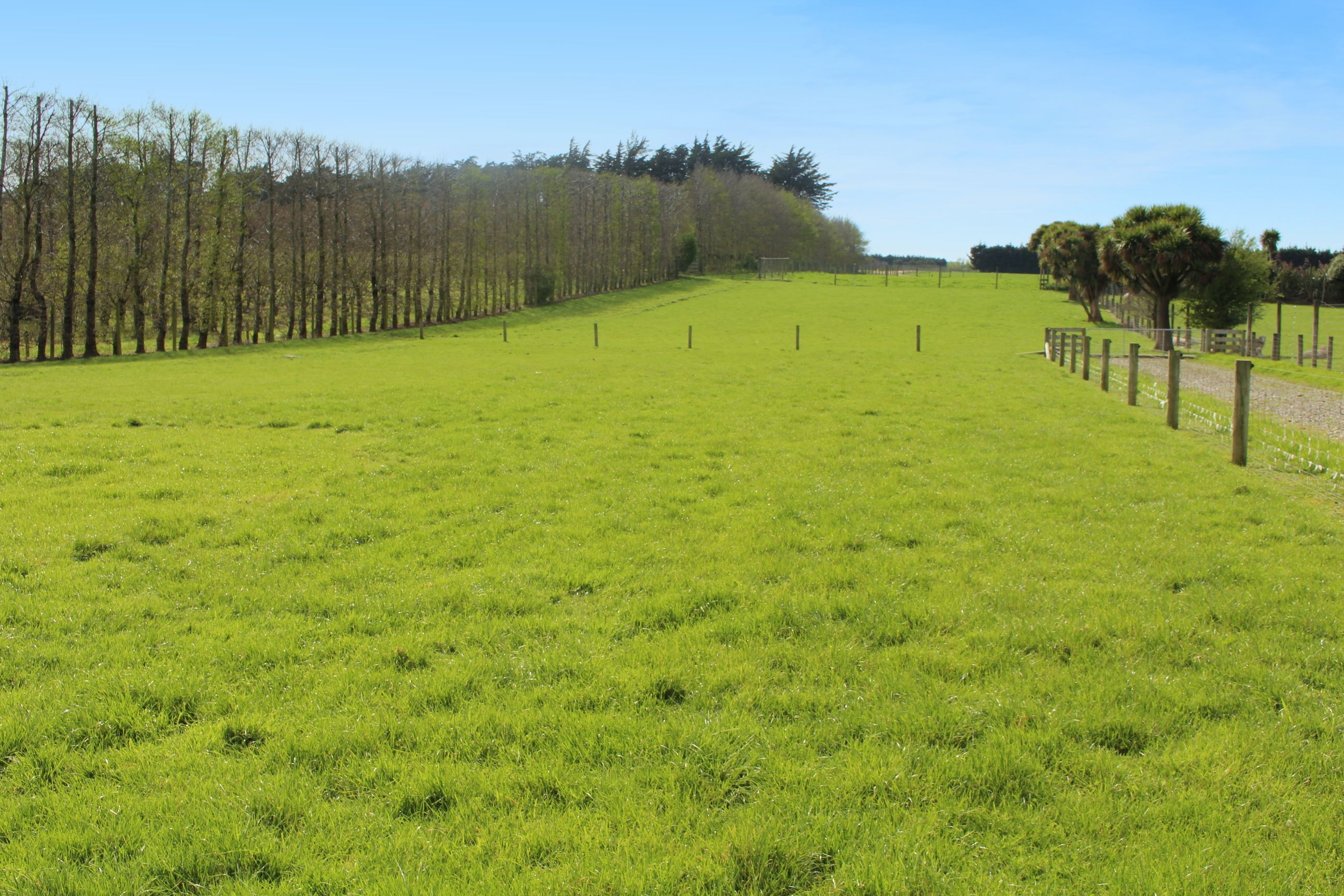 380 Kennington - Roslyn Bush Road, Roslyn Bush, Southland District