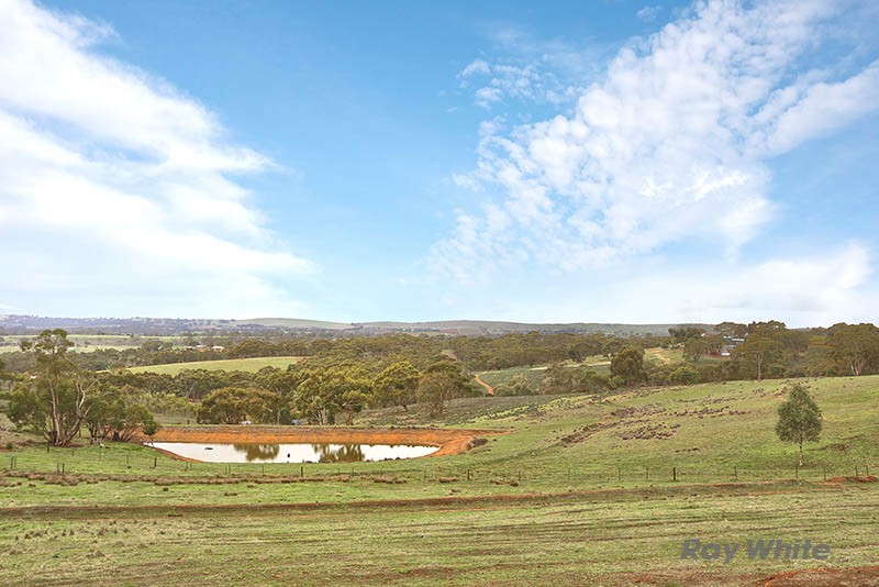 220 Spring Gully Road, Clare, SA 5453