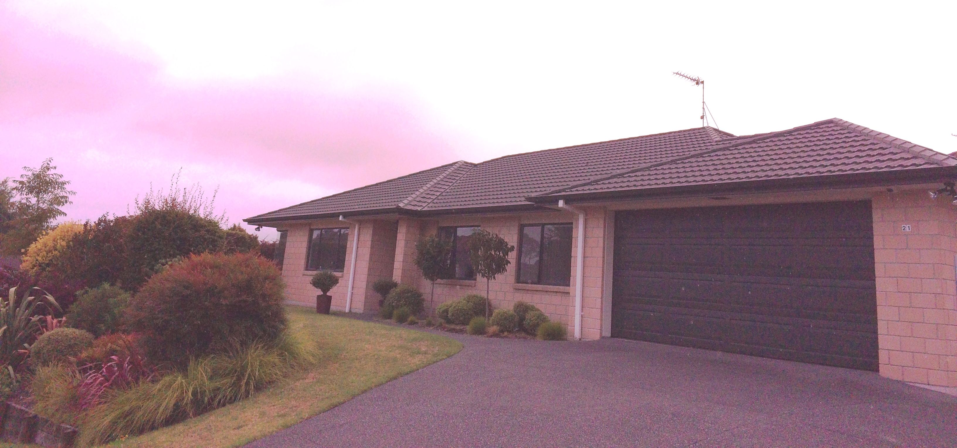 Pyes Pa, Tauranga City