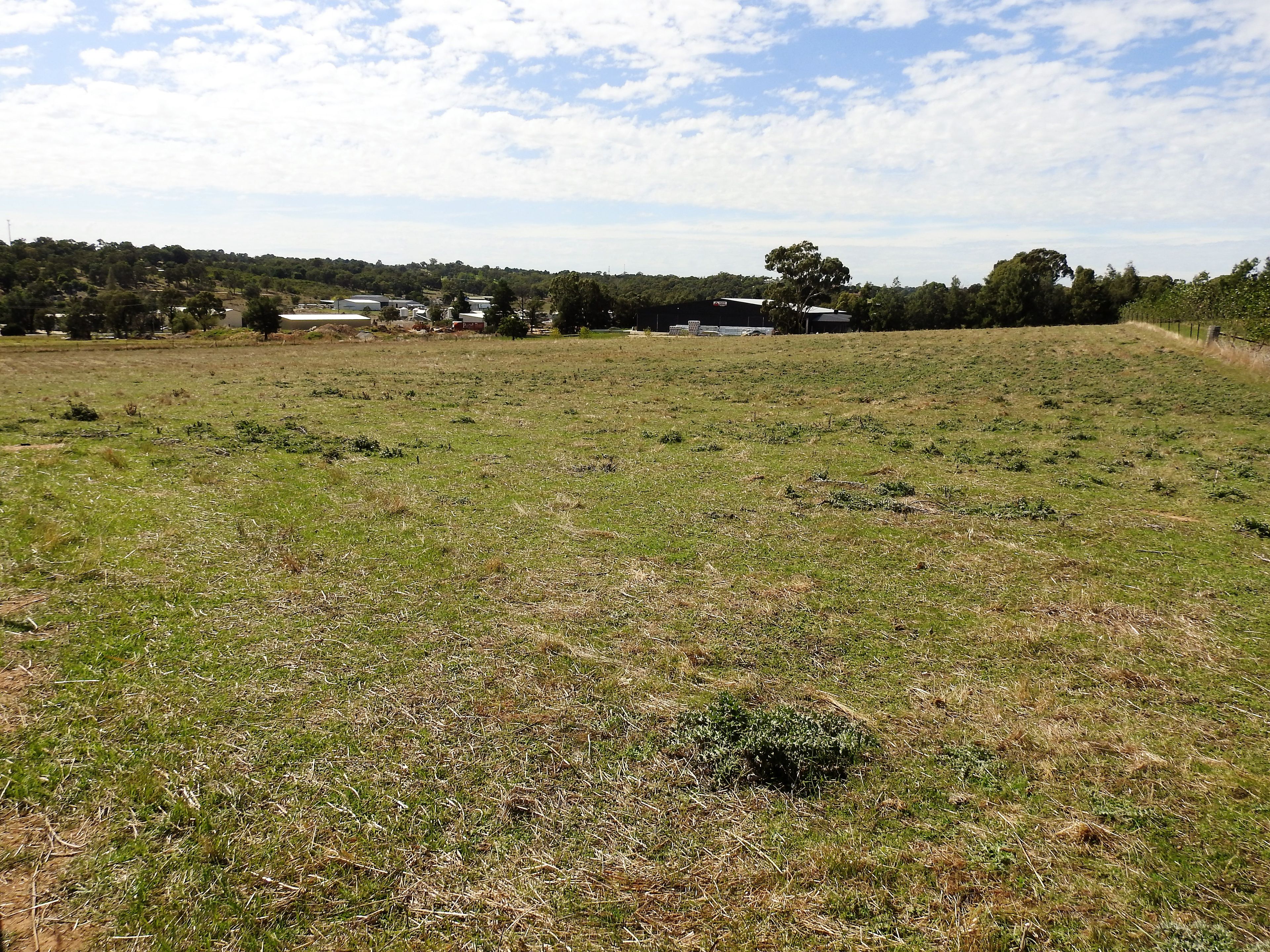 8H Old Temora Road, Young, NSW 2594