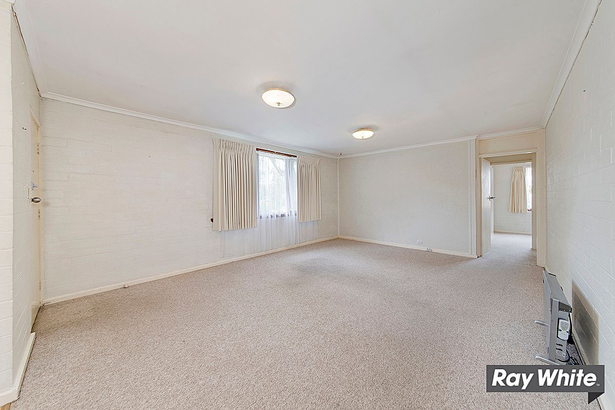 2/8 Castieau Street, Higgins, ACT 2615