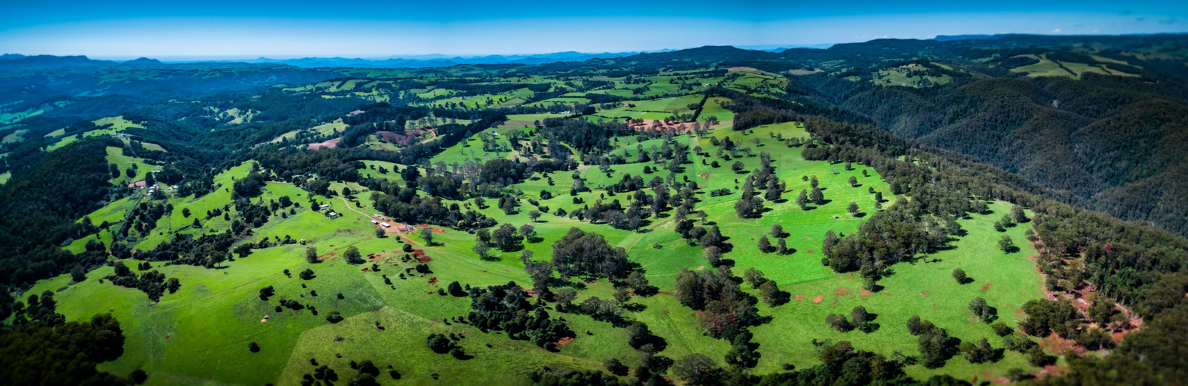Dorrigo, NSW Rural Rural Livestock Property Sold