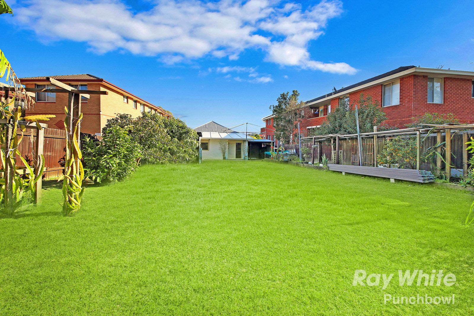 5 Shadforth Street, Wiley Park, NSW 2195
