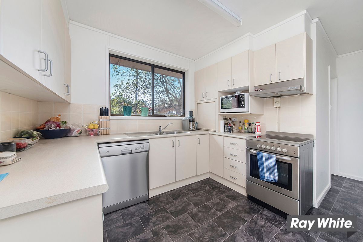 4 Swainsona Street, O'Connor, ACT 2602
