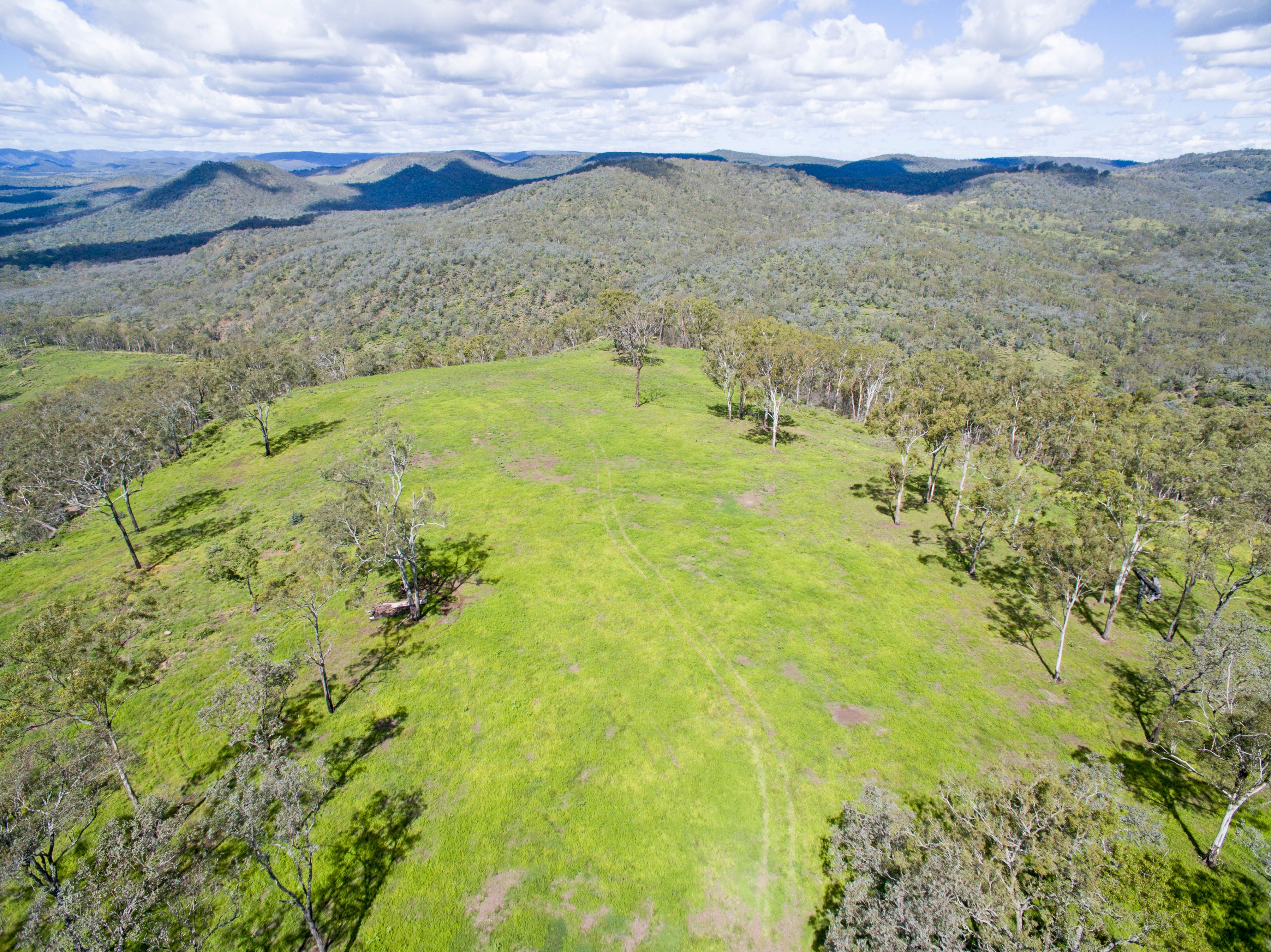 'Native Dog' Mount Neale Road, RAMSAY, QLD 4358