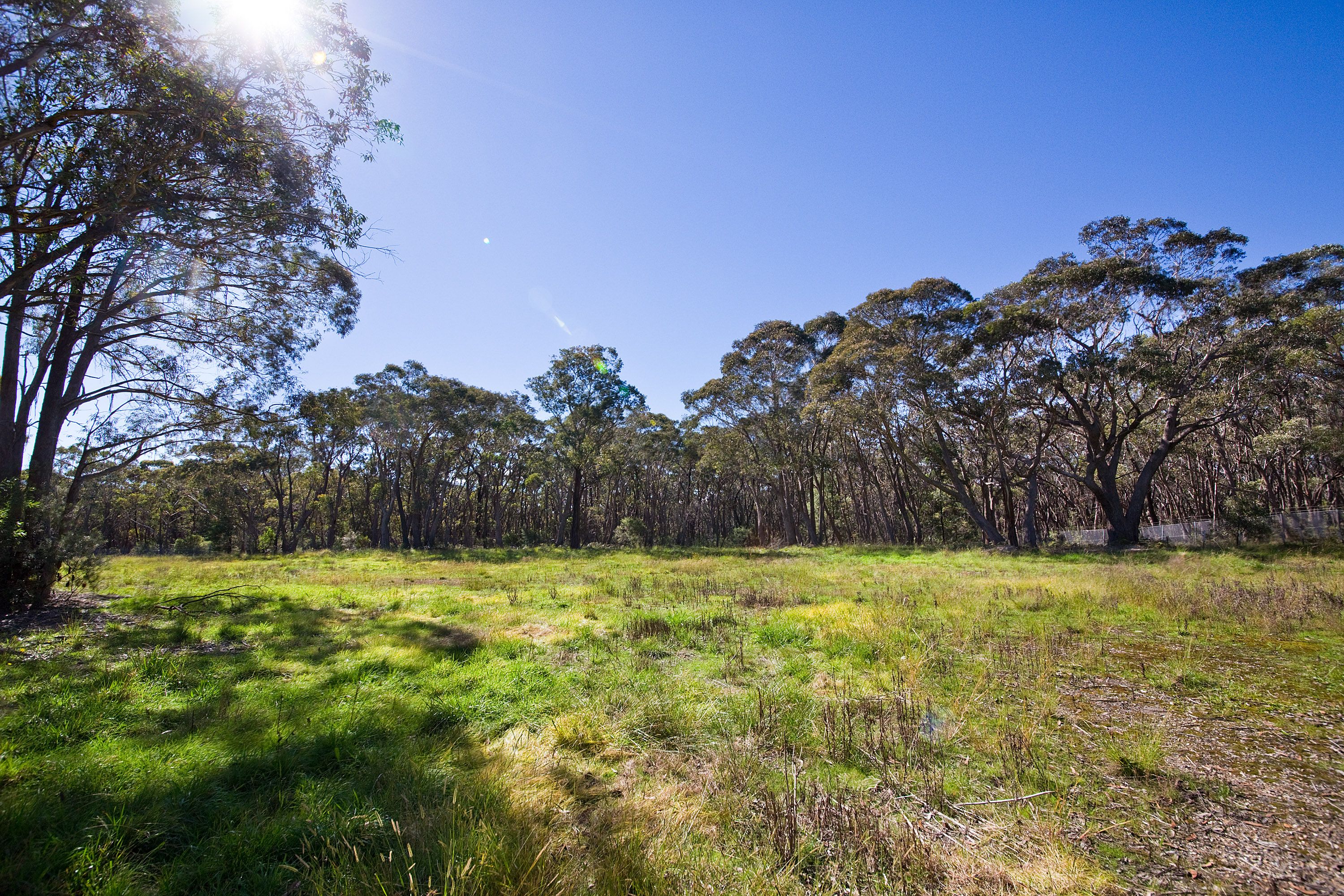 Lot 419 - 111 Mort Street, Katoomba, NSW 2780
