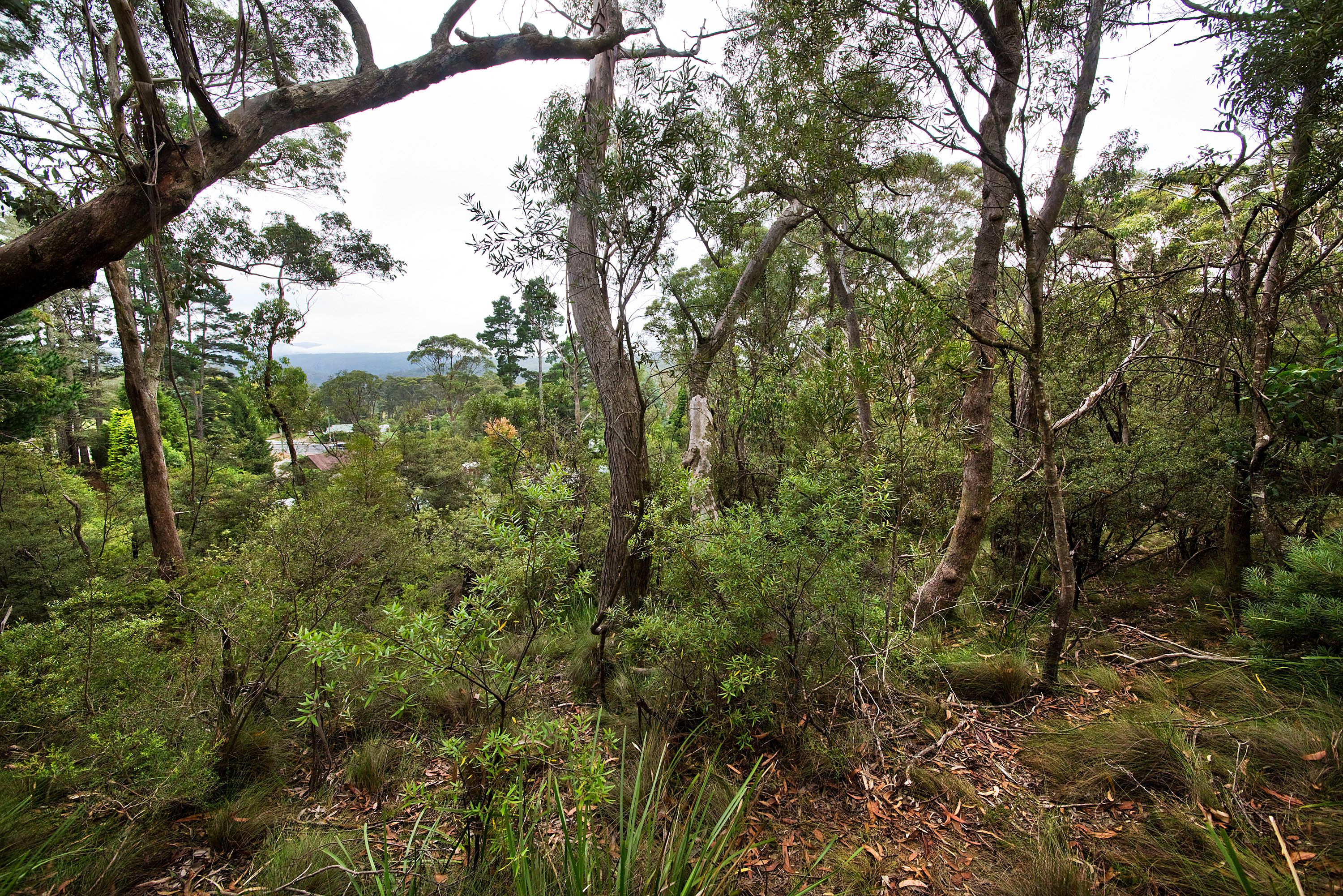 Lot 17 Victoria Street, Mount Victoria, NSW 2786