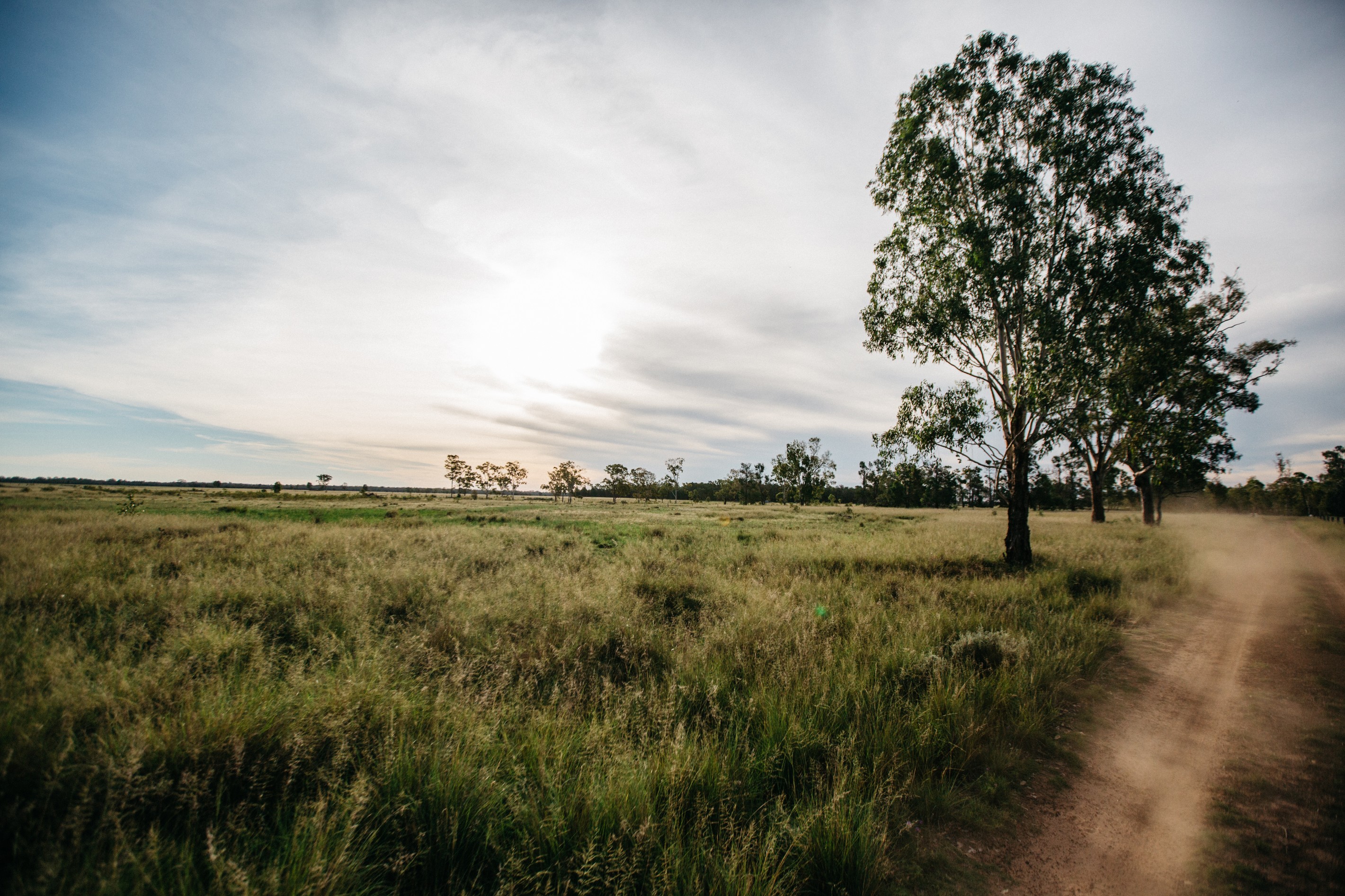 2822 Millmerran-Cecil Plains Road, Kurrowah, QLD 4352