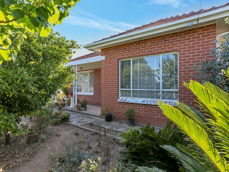 31 Acacia Avenue, Campbelltown, SA 5074