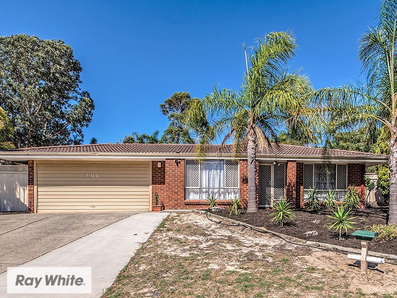 144 Illawarra Crescent S, Ballajura, WA 6066